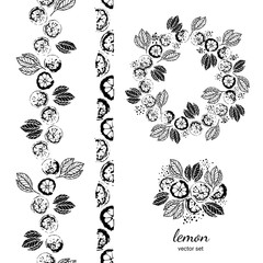 Lime or lemon set. Garland, wreath, bouquet. Print lemons. Citrus fruit background. Elements for menu, greeting cards, wrapping paper, cosmetics packaging, tea packaging. Black on white background.