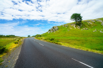 road in green hills,coromandel peninsula, new zealand 10