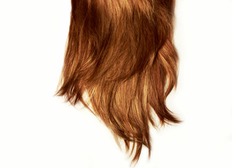 Fototapeta premium Natural highlight shiny healthy human long hair. Hair Cut off on White Background