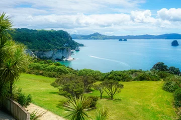 Outdoor-Kissen On the way to cathedral cove,coromandel peninsula, new zealand 1 © Christian B.