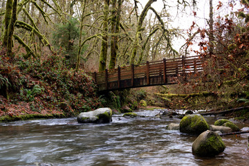 Lower McDowell Falls with wooden bridge at Mcdowell Creek Fall at County In Oregon