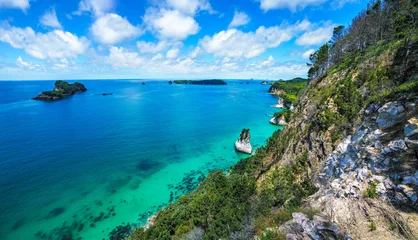 Tuinposter view from the cliffs at cathedral cove,coromandel peninsula, new zealand 3 © Christian B.