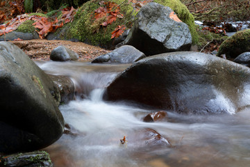 Movment of water streaming down from river at Mcdowell Creek Fall in Oregon
