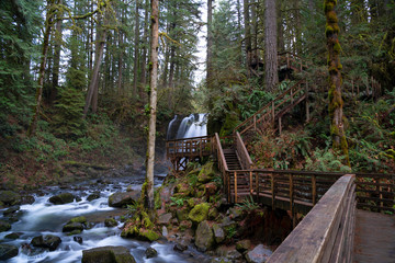 Majestic Fall with wooden boardwalk at McDowell Creek Fall County Park in Oregon