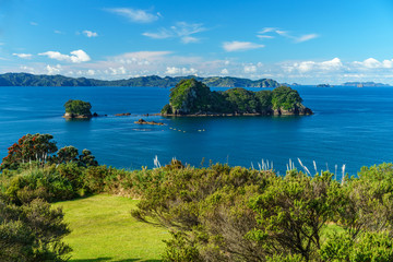 the way from cathedral cove,coromandel peninsula,new zealand 8