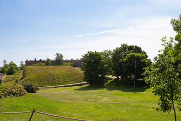 Green meadow and trees of Finland in summer sunny day.