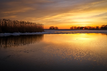 Beautiful Winter landscape with frozen river, reeds and sunset sky. Composition of nature.
