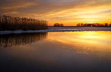 Beautiful Winter landscape with frozen river, reeds and sunset sky. Composition of nature.