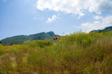 Young beautiful blonde girl in a chamomile field stands posing with a flower in her hands in summer. Woman in black bikini top and white short skirt