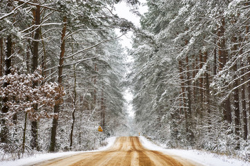 A road through the forest at winter time