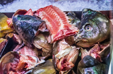 Carp Heads for sale in a market in Biudapest