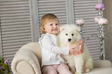 Portrait of blond baby girl play with husky puppy.Model girl with blond hair posing in studio shoot with sammy white puppy while sitting on royal retro armchair sofa couch wearing cute dress.