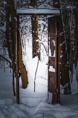 Door in the winter forest - concept of winter in nature