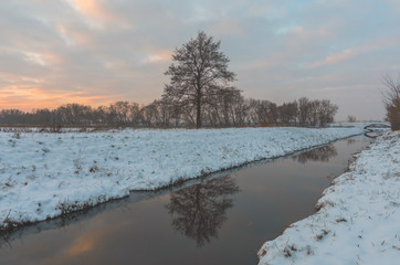 Lone tree in a snow-covered field and a creek cutting across.