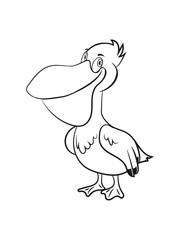 Pelikan süss lieb vogel seevogel Meer cartoon natur Wasser anhänglich Tier einfarbig
