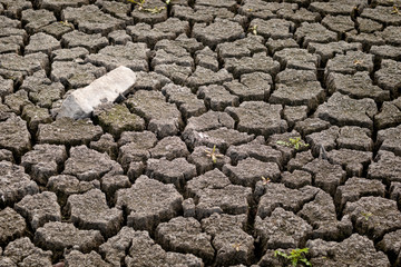 cracks in mud due to drought