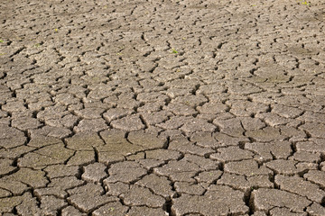 cracks in mud due to drought