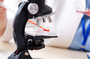 Female chemist working at the lab  