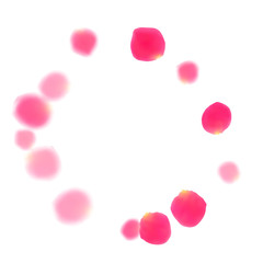 Pink rose petals falling vector valentine background.