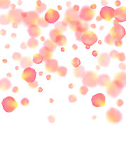 Rose gold petals flying cosmetics vector background.