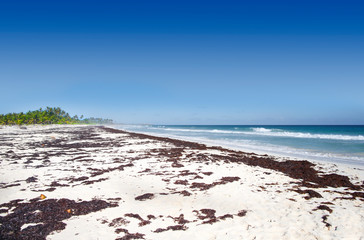 Panorama of the deserted shores of the Atlantic Ocean.