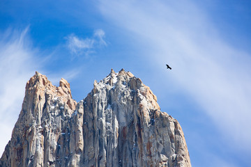 Soaring over the towers