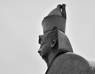 Ancient Egyptian sphinx in St. Petersburg.
