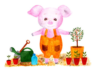 Pig. Watercolor illustration.
Pig is preparing in planting seedlings, planting the garden. Page in the calendar for the month of may.