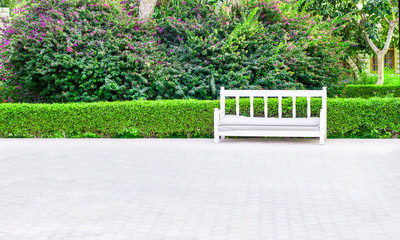 Romantic white bench in front of a hedge with roses and lavender