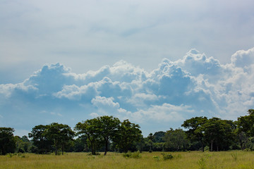 Clouds over the Pantanal