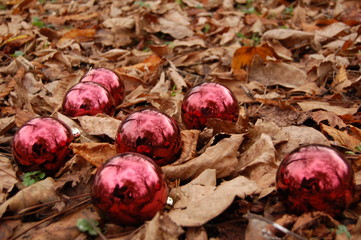 christmas balls in autumn park