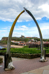 Whitby Whale Bones