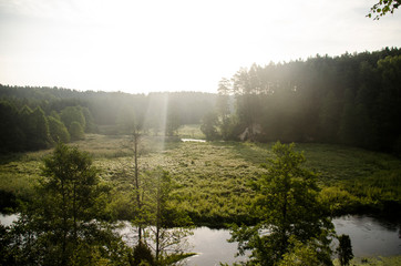 Zakole rzeki w lesie na polanie ze słońcem - obrazy, fototapety, plakaty