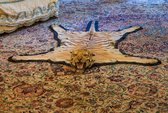 Real tiger carpet in the palace