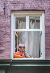 Alien at the window watching