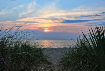 Looking Through the Dunegrass