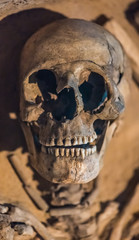 Archeology skull found in tomb