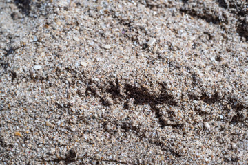 texture of stone