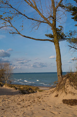 Fototapeta na wymiar View of Lake Michigan from the sand dunes on a Autumn morning. Indiana Dunes State Park, Indiana, USA