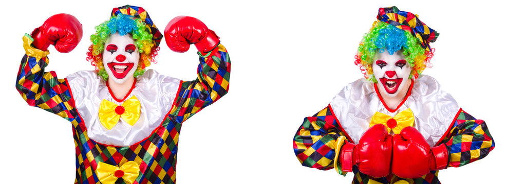 Funny male clown with boxing gloves 
