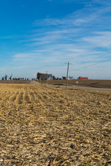 Open farmland in Marshall County, Illinois.