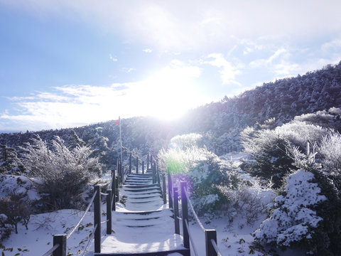 Halla mountain at Jeju island Korea in Winter.