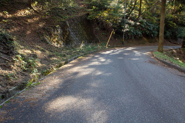 光と道