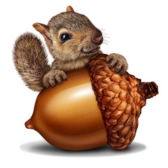 Funny Squirrel holding a Giant Acorn © freshidea