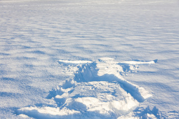 Snow and Happy Trip in Switzerland