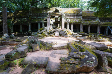 ruins and tetrameles at Ta Prohm temple
