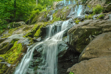 Naklejka na ściany i meble Waterfall in the Woods