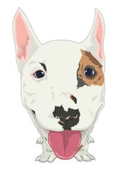 ミニチュアブルテリア