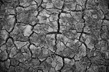 Soil drought with dry and cracked ground.