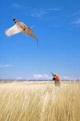 Bird Hunting
